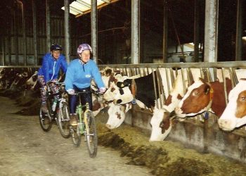 Veldtoertocht door koeienstal wielervereniging beuseberg 