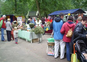 Dondertman houdt gezellige zomerfair zomerfair espelo dondertman 