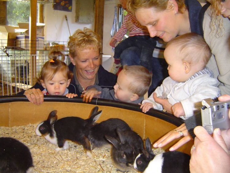 Hulp gezocht voor knuffelhok dondertman 