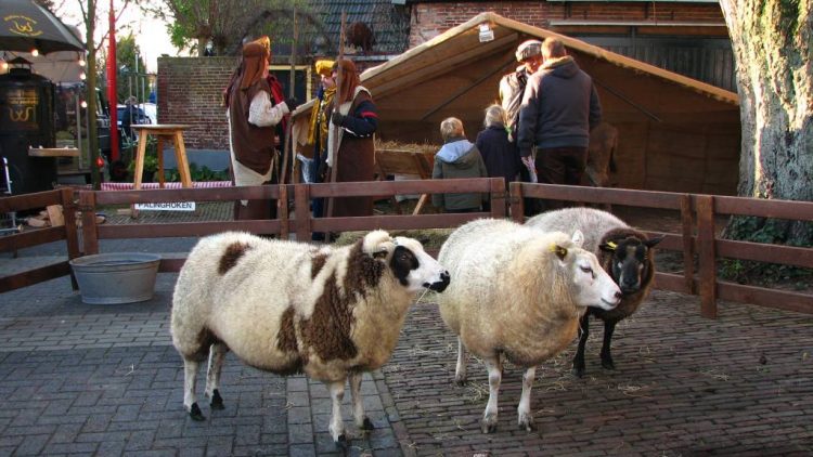 Kerstfair 2010 smidsbelt kulturhus korhanen de hoolter deerns 