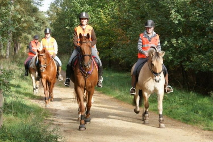 Ponydag shetlandboerderij 