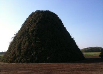 MAC bestaat 65 jaar dijkerhoek de biester bonte paard beuseberg 