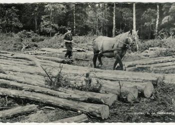 Bomen slepen natuurdiorama 