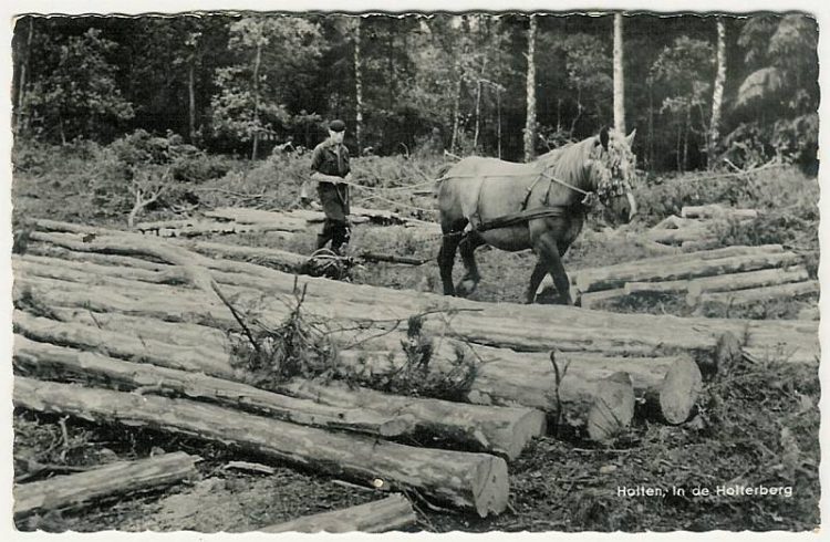 Geweldenaren aan het werk natuurdiorama 