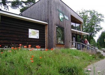 Botje bij Botje in Natuurdiorama Holterberg natuurdiorama 