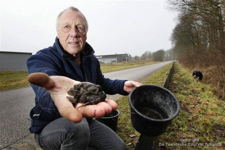 We helpen de pad veilig naar ’t water dijkerhoek 