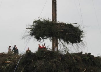 Recordbouw Paasvuur Espelo in volle gang paasvuur espelo 