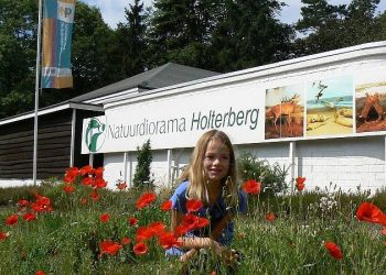 Nachtvlinderexcursie op de Holterberg natuurdiorama 