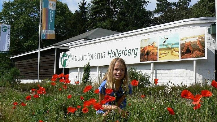 Inspirerende wandeling over de Holterberg natuurdiorama 