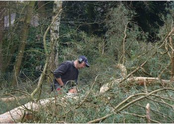 Nachtvlinderexcursie op de Holterberg natuurdiorama 