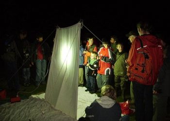 Avondwandeling, het donker tegemoet natuurdiorama 