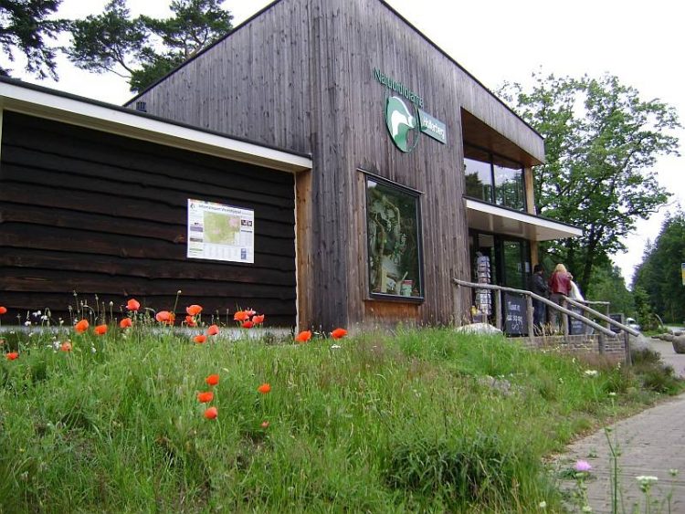 Wandeling voor vroege vogels en ontbijten op de Holterberg sallandse heuvelrug natuurdiorama 