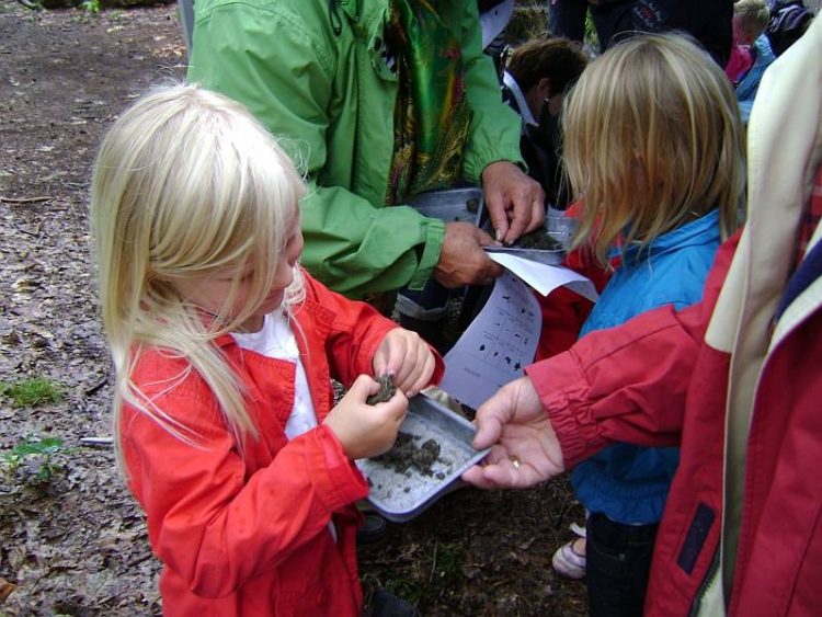 ”Nature Experience” op de Holterberg natuurdiorama 