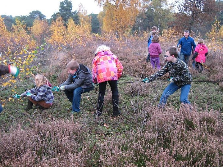 Bosschool de hei op 