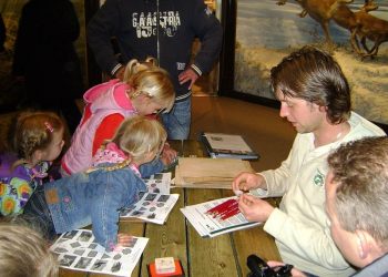 Natuurkracht of Magie: inspirerende wandeling over de Holterberg natuurdiorama 