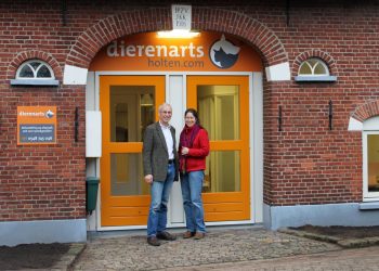 Natuurkracht of Magie: inspirerende wandeling over de Holterberg natuurdiorama 