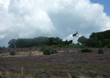 Natuurkracht of Magie: inspirerende wandeling over de Holterberg natuurdiorama 