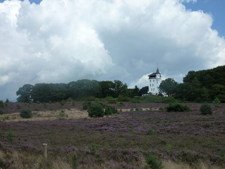 Cultuur snuiven op de Holterberg en in het museum natuurdiorama 