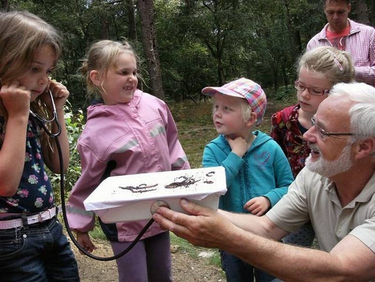 "Nature Experience” op de Holterberg natuurdiorama 