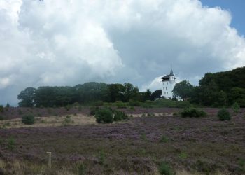 In één maand vijf medewerkers veertig jaar in dienst nijkamp Jubileum 