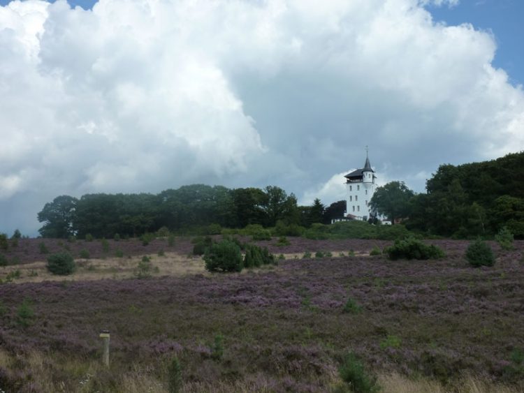 Heide experience op de fiets natuurdiorama 