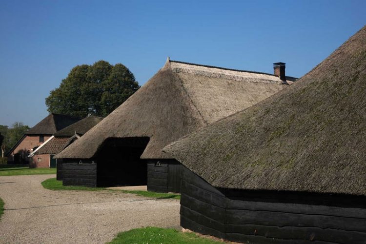 Fietstochten langs boerderijen in Salland 