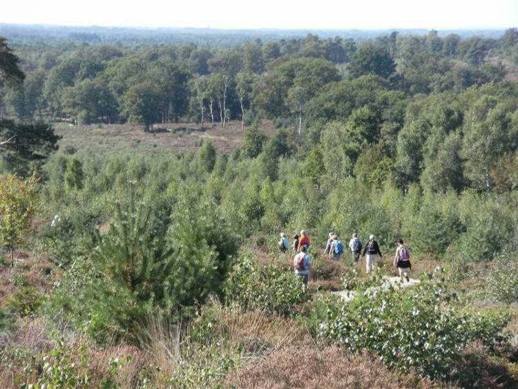 Herfstwandeling over de Holterberg 