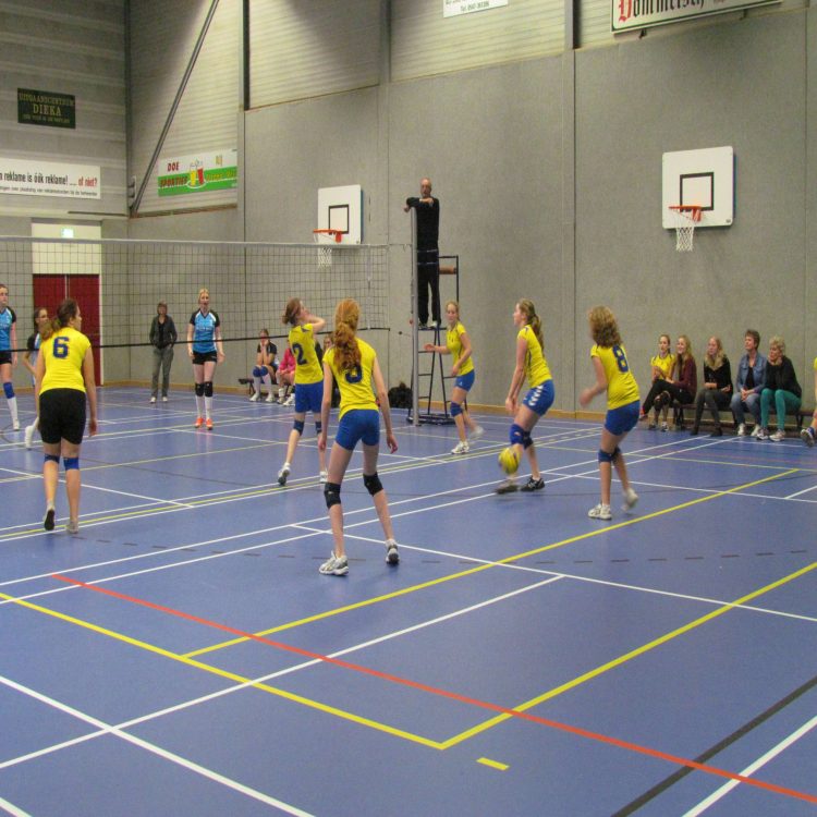 Geslaagde volleybalclinic Mintonette bij De Regenboogschool mintonette 