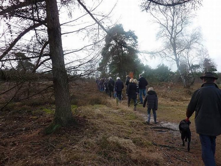 Winterwandeling met stamppotwandeling sallandse heuvelrug natuurdiorama 