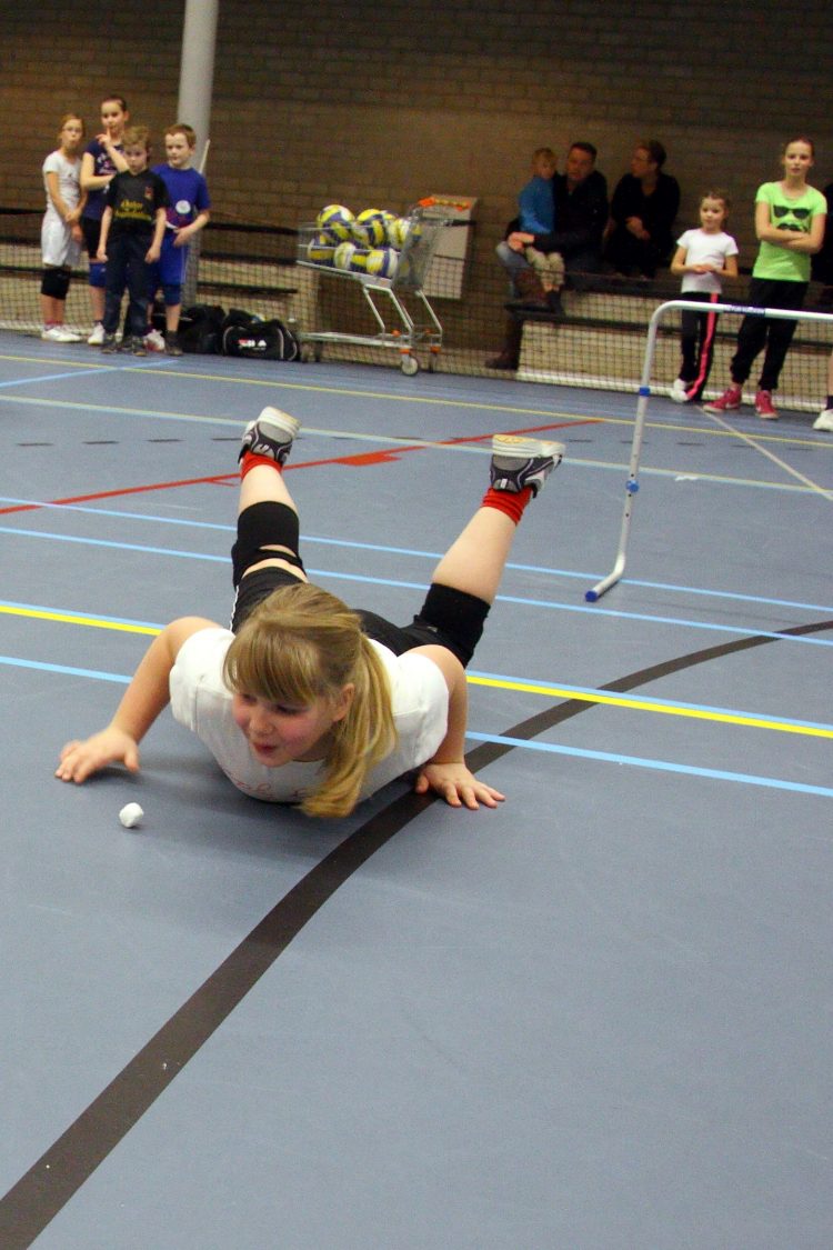 Boetiek Gewoon Leuk vriend(in) toernooi Mintonette geslaagd mintonette 