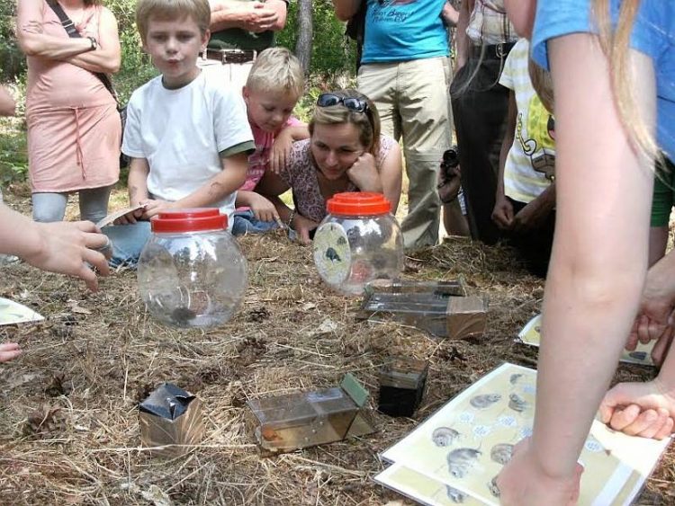 ”Nature Experience” op de Holterberg sallandse heuvelrug natuurdiorama 