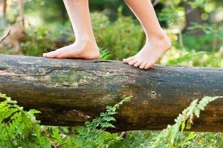 Wilde Buiten Dag op Landal Twenhaarsveld 