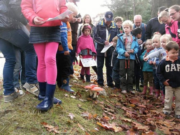 Herfstvakantie op de Holterberg sallandse heuvelrug natuurdiorama 