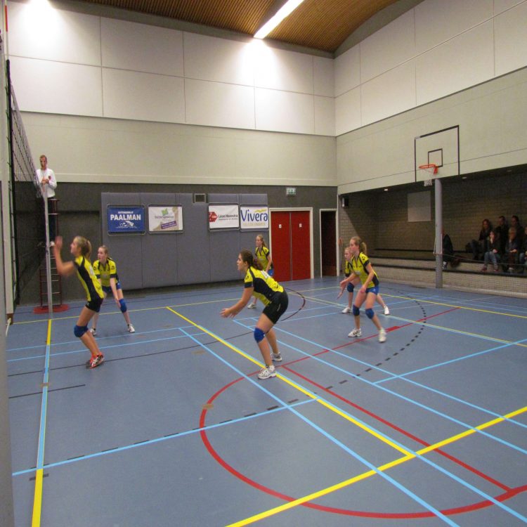 Mintonette A2 mooie pot volleybal nipt verlies mintonette 