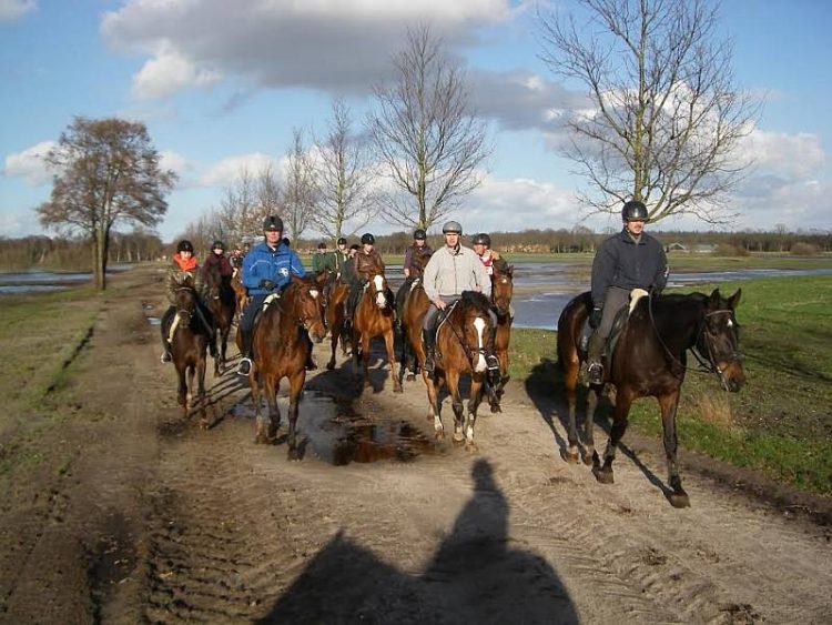 Barre, Italiaanse Tocht te paard snorrewind 