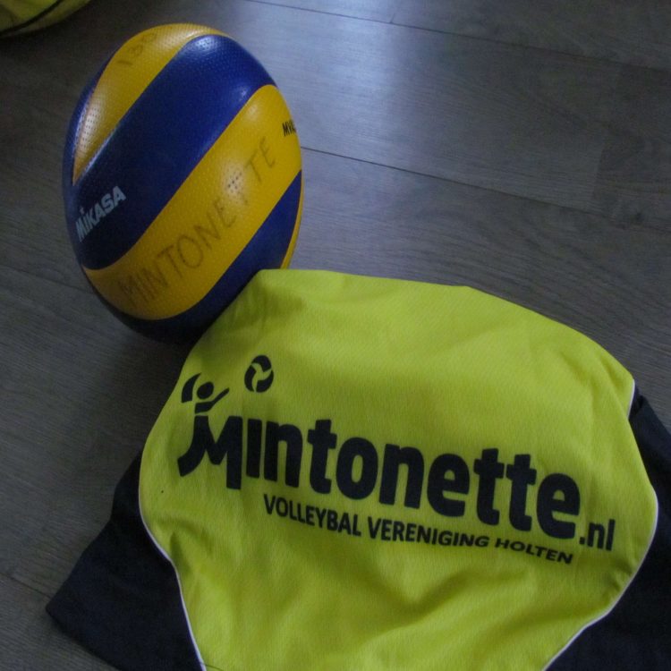 Volleybalmeiden A2 nog ongeslagen aan kop mintonette 