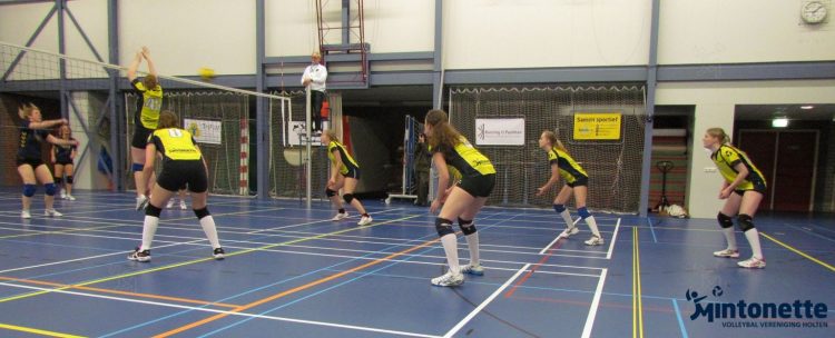 Dames 1 vechtend ten onder mintonette 