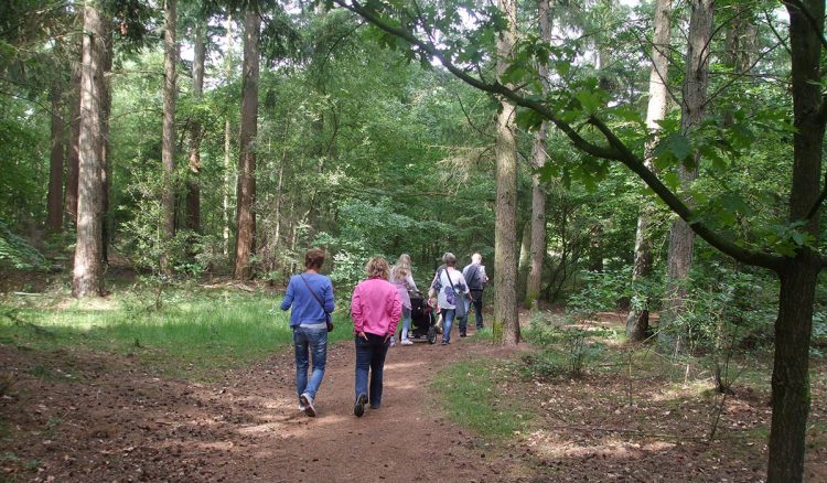 Wandeling voor ouders van kinderen met autisme 