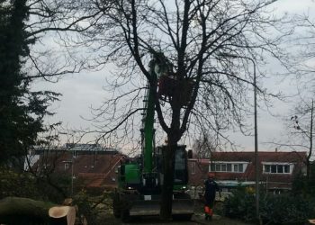 Begin Molenbelterweg wordt tweerichtingsweg gemeente 