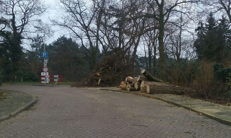 Begin Molenbelterweg wordt tweerichtingsweg gemeente 