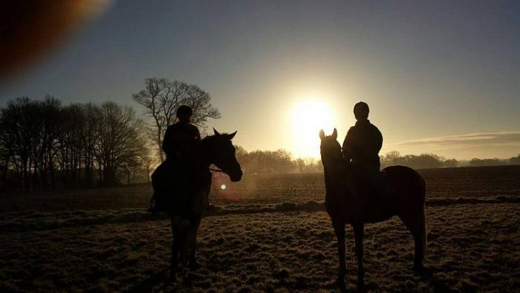 Dauwtrappen te paard tijdens Hemelvaart snorrewind 