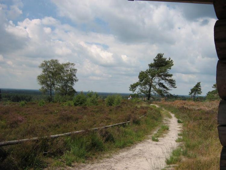 Avondwandeling, het donker tegemoet natuurdiorama 