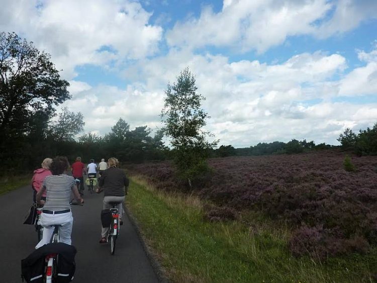 Heide Experience op de fiets natuurdiorama 