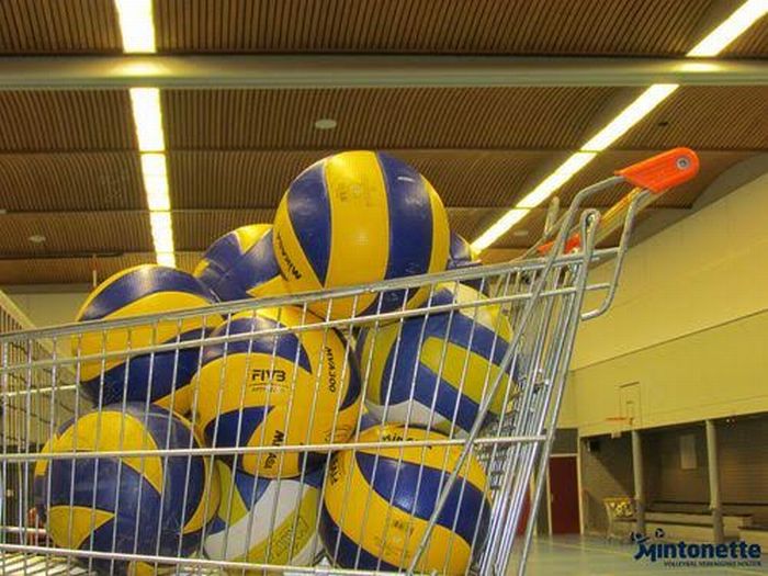 Recreatief volleybaltoernooi Mintonette mintonette 