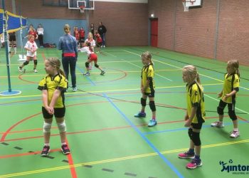 Zeer geslaagd vriend(innet)je volleybal toernooi Mintonette mintonette 