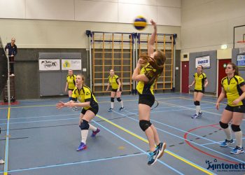 Zeer geslaagd vriend(innet)je volleybal toernooi Mintonette mintonette 