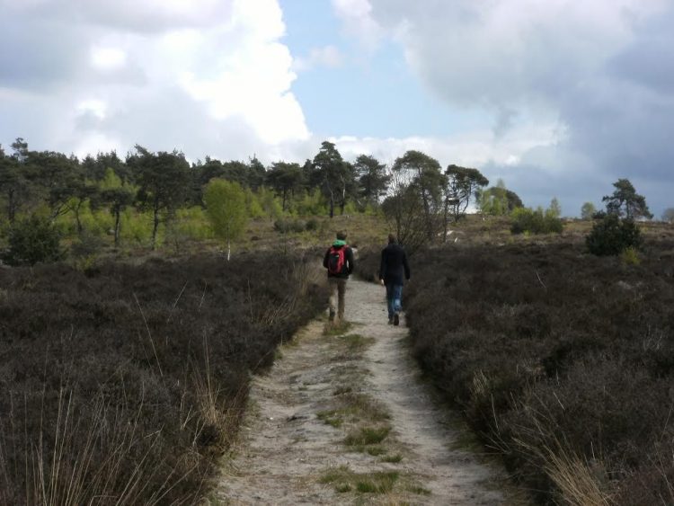 Dauwwandelen en ontbijt op de Holterberg 