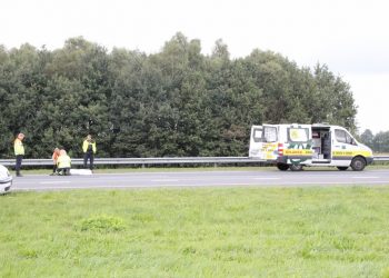 Hond aangereden op A1 