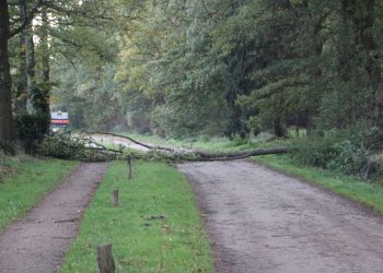 Boom over de Kroepinsweg brandweer 