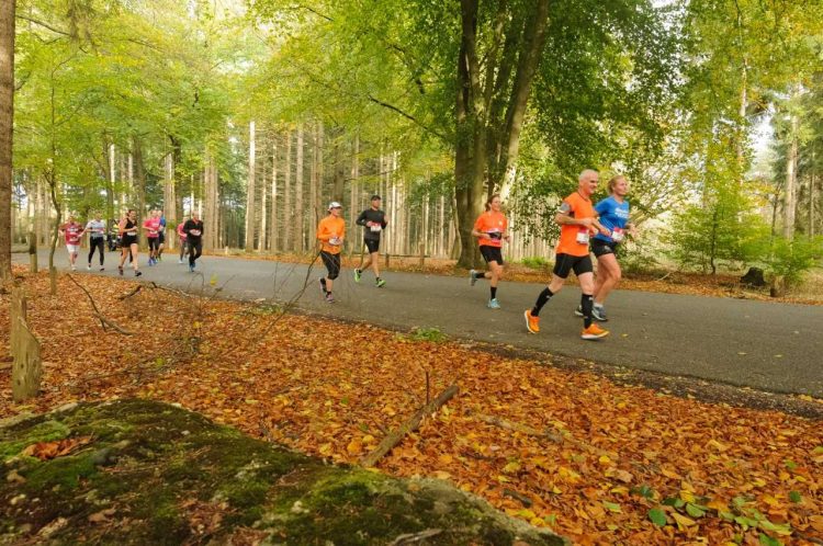 Diepe Hel Holterbergloop Inschrijfdatum verlengd sallandse heuvelrug 